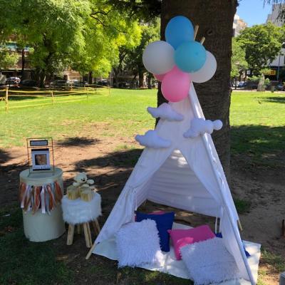 Picnic53