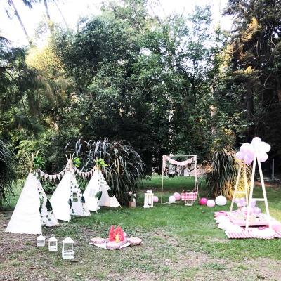 Picnic8