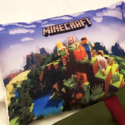 Minecraft 24